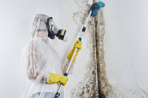Best Residential Mold Removal  in Crestview, FL