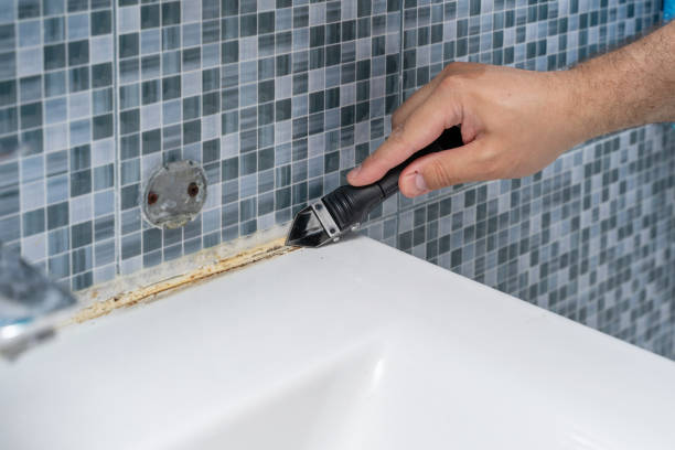 Best Fast Mold Removal  in Crestview, FL