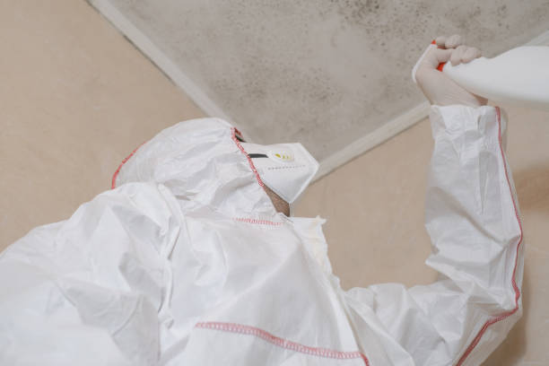 Best Commercial Mold Removal  in Crestview, FL