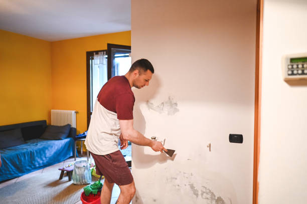 Best Mold Remediation  in Crestview, FL